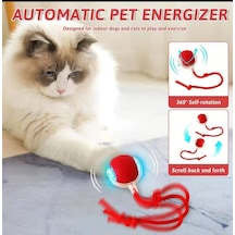 Hareketli Halatlı Kedi Topu