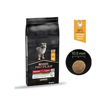 Pro Plan Tavuklu Orta Irk Yavru Köpek Maması 12kg