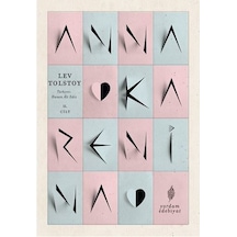 Anna Karenina Cilt 2