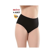 Belinay 4 Adet 069 Kadın Yüksek Bel Modal Külot 001