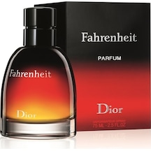 Christian Dior Fahrenheit Erkek Parfüm EDP 75 ML