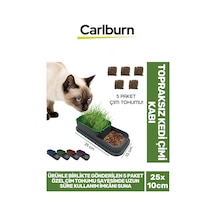 Özel Üretim 5 Adet Kedi Çimi Tohumu Topraksız Kedi Çimi Kabı 25x10cm