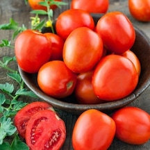 Doğal Geleneksel Roma Organic Domates Tohumu 20 Tohum