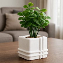 Bezos 3d Baskı Square Planter - Izgara Desenli Küp Saksı-beyaz Dmc