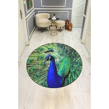 Dijital Baskı Modern Kaymaz Taban Halı H0340 Renkli