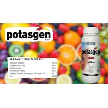 Potasgen (Meyve Büyütücü) 1 Litre