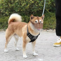 Pasha Pet Metal Deri Köpek Ağızlığı S - 30 Cm