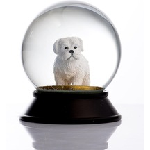Ve Reçine Altın Patiler Köpek Maltese Terrier Kar Küresi Hediye Diğer