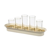 Ikea Vattenkrasse Bitki Çoğaltma Seti Krem - Altın