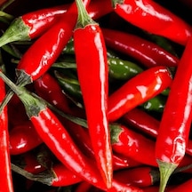 Ata Tohumları Geleneksel Malagueta Chili Acı Biber Tohumu 10 Tohum