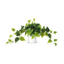Saksıda Sarmaşık Sarı Yeşil Oval Yapraklı Sarmaşık Yapay Çiçek Beyaz Saksıda