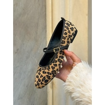 Leopar