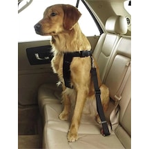 Evcil Hayvan Araç Emniyet Kemeri Kedi Köpek Araba Oto Tasması Oto Aksesuarları Siyah Çok Renkli