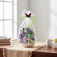 Mini Midye Teraryum - Öğretmenler Günü Hediyesi
