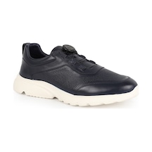 Lacivert