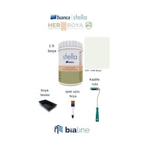 Bianca Stella Boya Seti Boya + Kadife Rulo + İpek Fırça + Boya Kabı