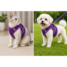 Nefes Alan Kumaş Air Mesh Kedi Köpek Göğüs Tasması Xx Small 28x32 Cm Mor