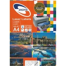 Ekofis Lazer Etiket 63.5 x 38.1 (2100) Oval Aralıksız