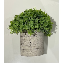 Dekoratif Yapay Bitki Seti - Saksıda Gerçekçi Yeşillik - 17 Cm Yeşil