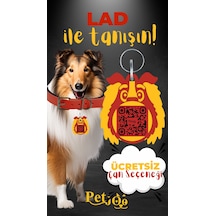 Petjoo 23.Lad Sarı-Kırmızı Qr'lı Köpek Künyesi