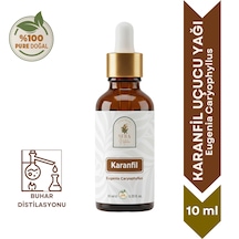 10 ML