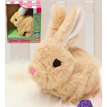 Yürüyen, Sesli Hareketli Sevimli Peluş Bunny Tavşan - Sweet Bunny 001