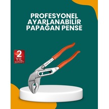 Standart