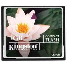 Kingston 1 Gb Compact Flash Cf Hafıza Kartı