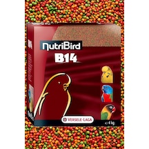 1 KG