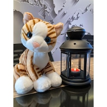 Selay Oyuncak Krem Peluş Kedi 28Cm
