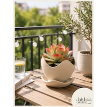 Dekoratif Kaseli Saksı-bitki,çiçek,sukulent Ve Kaktüs Saksısı-modern Tarz Saksı Bej