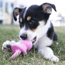 Hnrlıshp Kong Puppy Yavru Köpek Diş Kaşıma Emzik M 13,5cm