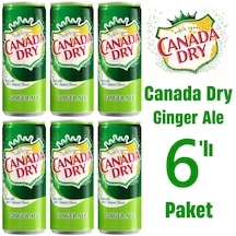 Canada Dry Ginger Ale 6 x 330 ML