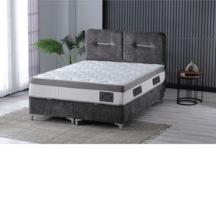 Platin Baza Başlık