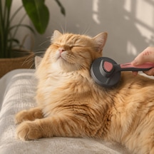 Patikadan Otomatik Tuşlu Kendini Temizleyen Kedi Köpek Tarağı - Pembe
