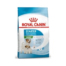 Royal Canin Mini Starter Yavru Köpek Maması 4 KG