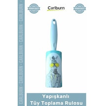 Çok Renkli