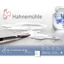 Hahnemühle Harmony Sulu Boya Blok 300G 12 Yp Rough Grain 24X30