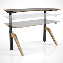 Regula Desk Dandy - Elektrikli Yükseklik Ayarlı Çalışma Masası, Sıradışı Tasarım, Çift Motorlu, Bluetooth Ko Diğer