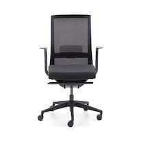 Rapido Rapido Ergonomik Çalışma Koltuğu A-One