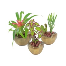 Saksı Çiçek Kaktüs Saksısı Lüx 15 Cm Önü Açık Desenli 3'lü Set Çiçeklik - Altın Eskitme