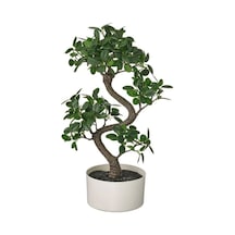 Ikea Fejka Saksılı Yapay Bonsai 47 Cm Siyah Beyaz Koyu Yeşil Çok  Renkli