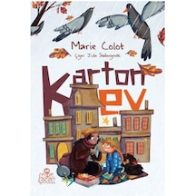 Karton Ev - Qhdh-667330