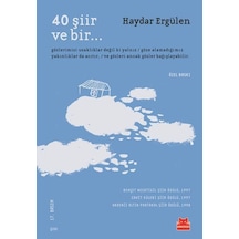 40 Şiir ve Bir - Haydar Ergülen - Kırmızı Kedi
