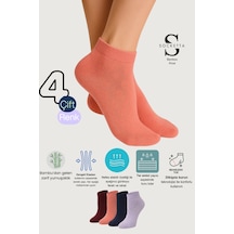 Socketta 4'lü Karışık Renkli Kadın Bambu Kendinden Desenli Patik Çorap - Premium Coral-lacivert-bordo-lila