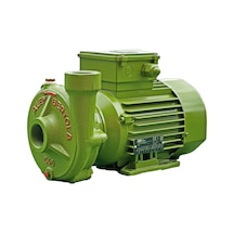 Alem Bertola C40 Bahçe Su Pompası 1,5 Hp 220 Volt Monofaze
