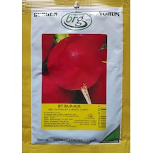 Bt BurKır İri Kırmızı Turp Tohumu 10 GR