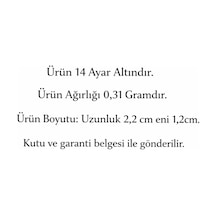 Altın