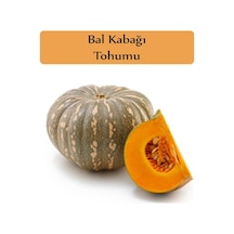 Bal Kabağı Tohumu 1 Paket 10gr 35 + Adet Kabak Tohumu