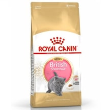 Royal Canin British Shorthair Yavru Kedi Maması 2 KG